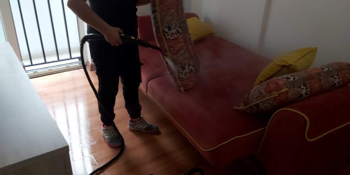 salgınlara-karsı-koltuk-temizligi
